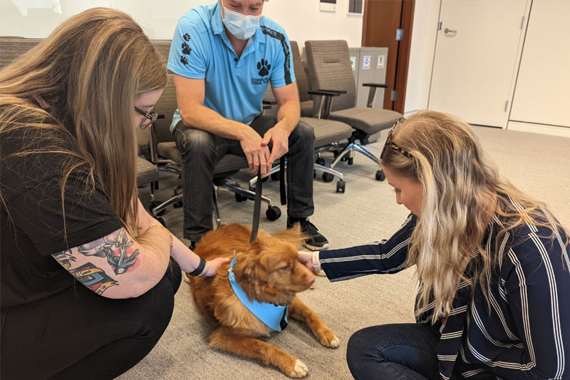 Therapy Dogs for Mental Health Week 2022